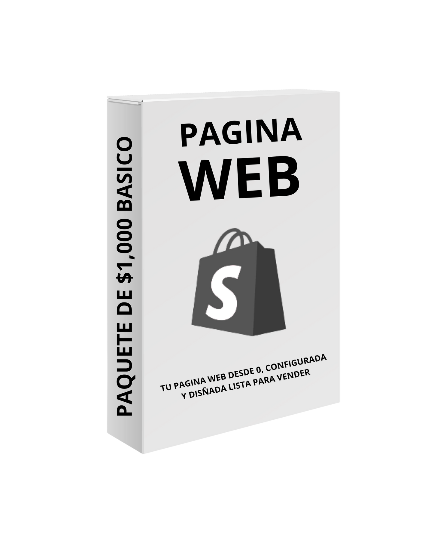 PAGINA WEB